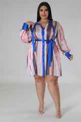 Brown and Blue Plus Size Striped Self Tie Dress full view