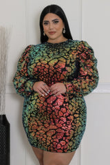 Plus Size Multi Color Sequin Mini Dress